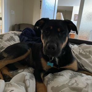 Meet your Posher, Michele